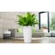 Lechuza Maceta Rondo 32 Blanca - Envío Gratuito