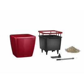 Lechuza Maceta Quadro 28 Roja - Envío Gratuito