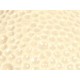 Haus Deko Florero Redondo Beige - Envío Gratuito