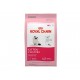 Royal Canin Alimento para Gato Kitten Chachorro 1.59 Kg