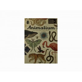 Animalium - Envío Gratuito