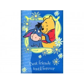 Album para 300 Fotos Pooh y Eeyore Best Friends Until Foreve - Envío Gratuito