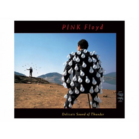 Delicate Sound of Thunder Pink Floyd 2CDS - Envío Gratuito