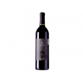 Vino Tinto Orlandi Cabernet Sauvignon-Malbec 750 ml - Envío Gratuito