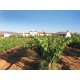 Vino Tinto Serafiel Adobe Guadalupe 750 ml - Envío Gratuito