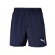 Puma Short Essential Woven 5 para Caballero