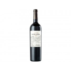 Vino tinto Morlanda Vi de Guarda 2010 750 ml - Envío Gratuito