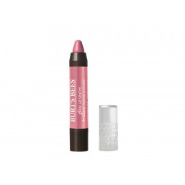 Burt's Bees Gloss Lip Crayon Pink Lagoon 2.83 g - Envío Gratuito