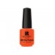 Red Carpet Esmalte en Gel Polish Tangerine On The Rocks 9 ml